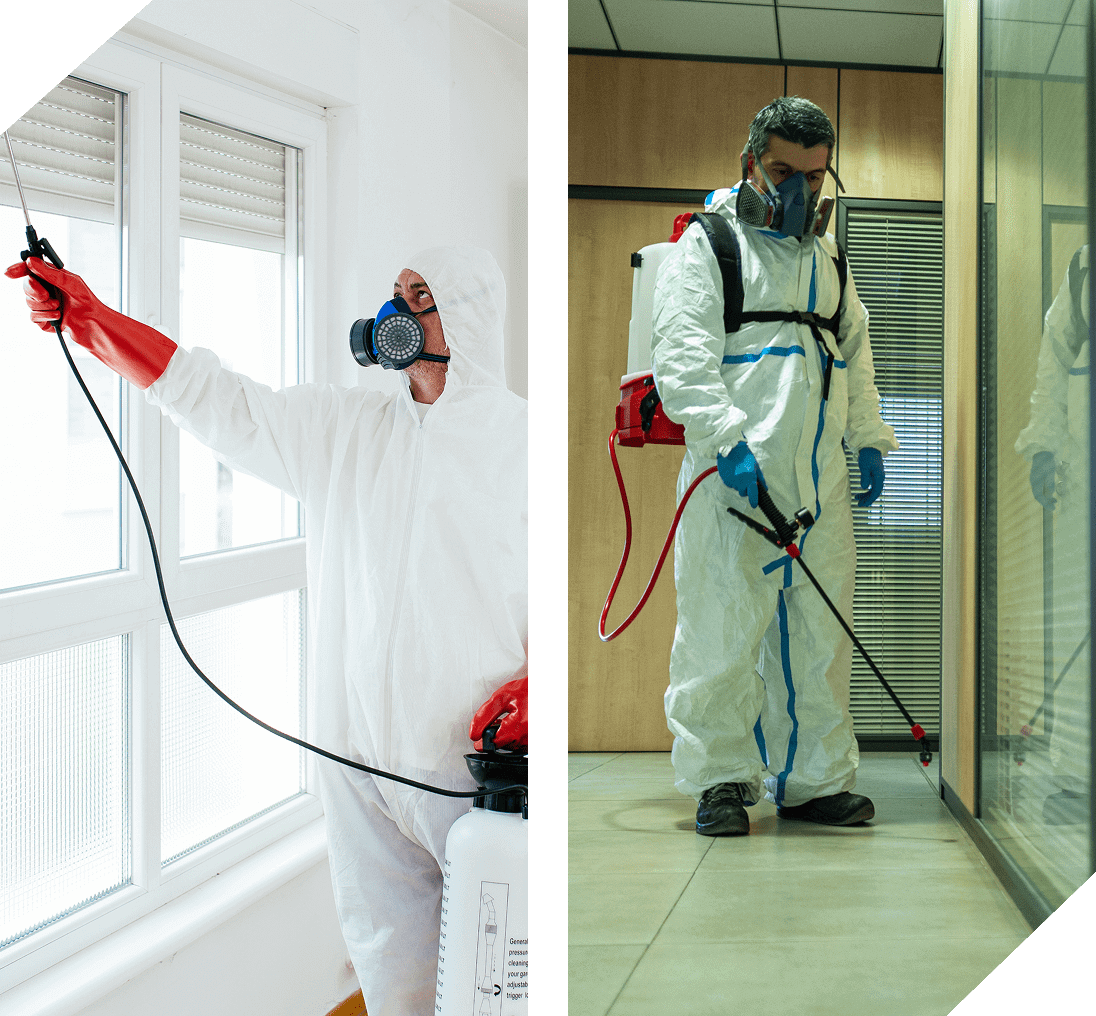 Expert team performing pest control services in Wrentham, MA.