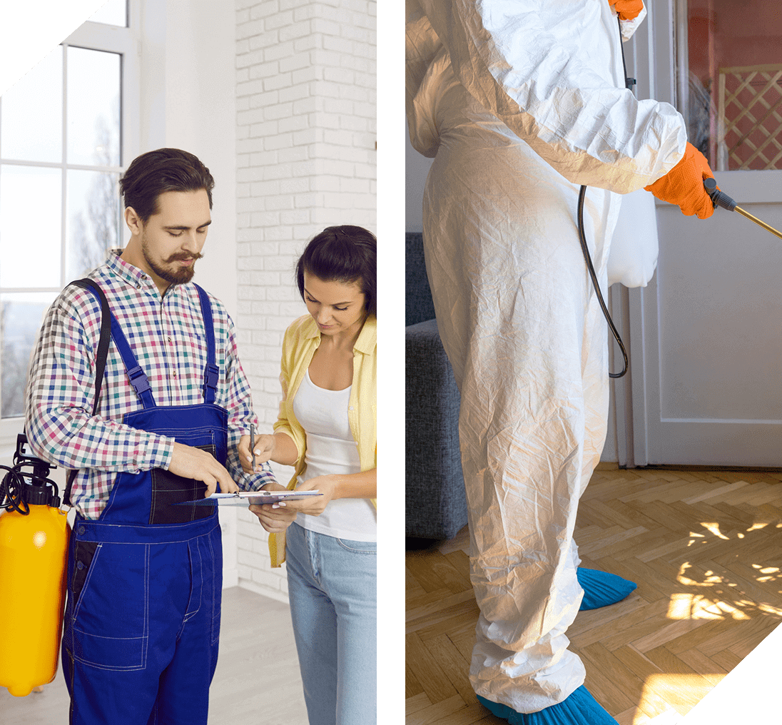 Pest control workers inspecting and spraying indoors.