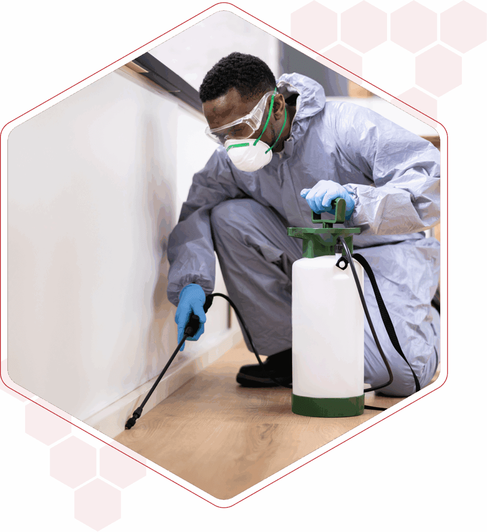 Professional technician providing pest control services for a local residence.