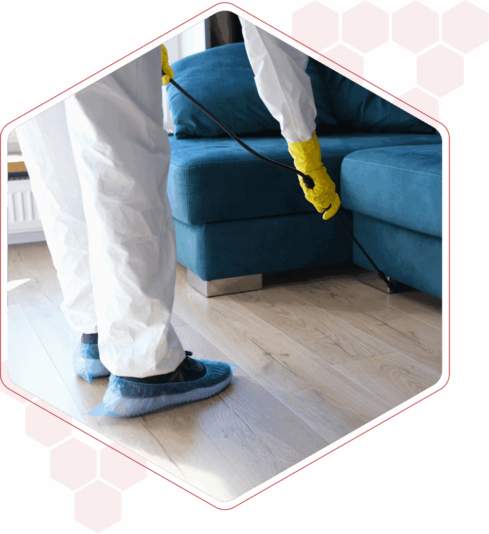 Pest control professional treating sofa area.