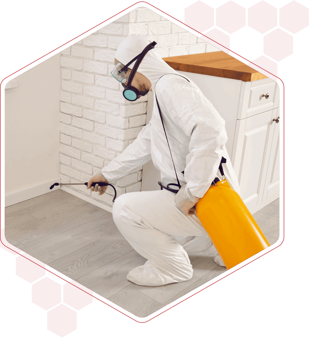 A Proper Pest Management entomologist performing pest control services in RI.