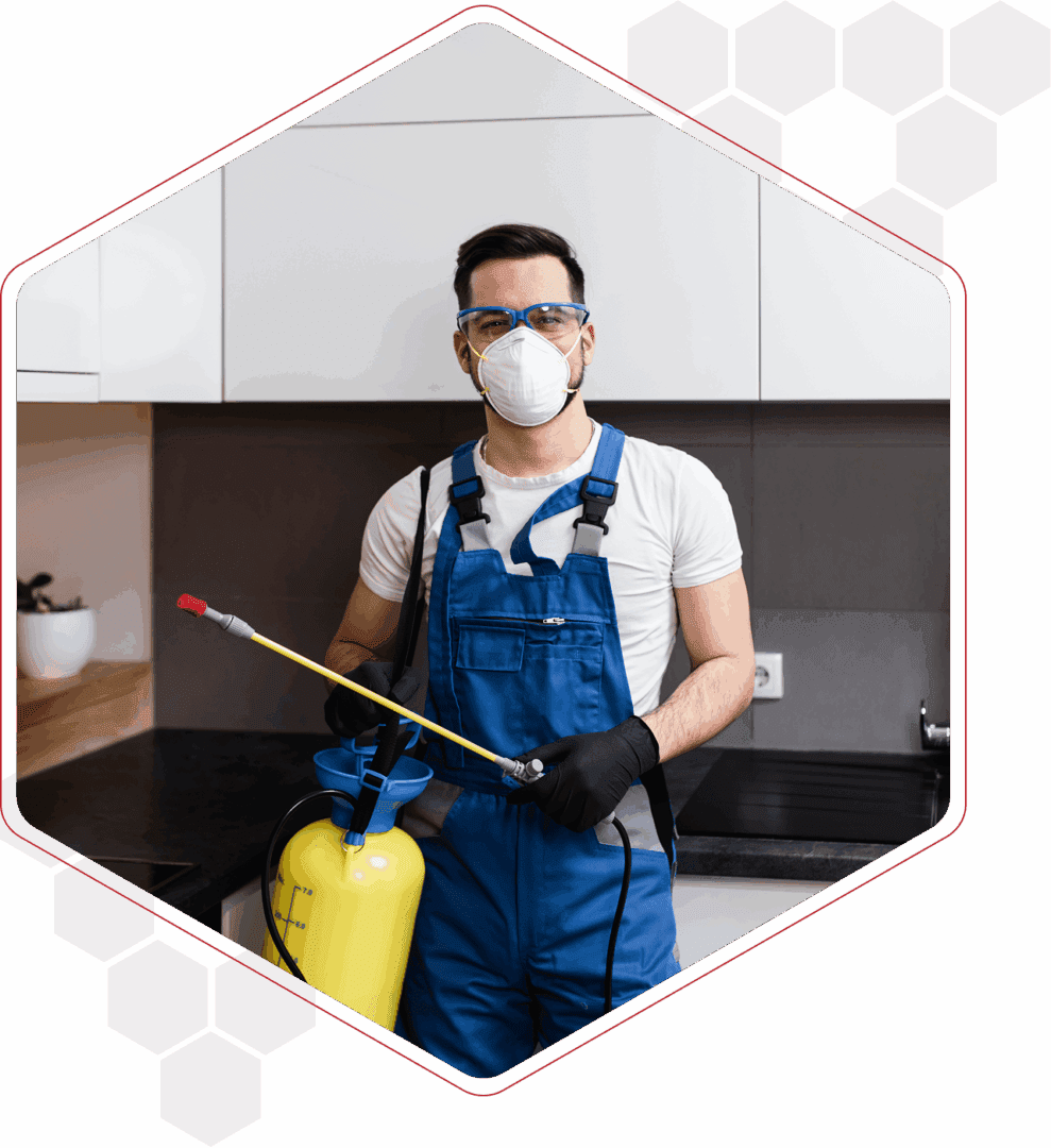 Eco-friendly pest control services being applied to a backyard perimeter for safety.