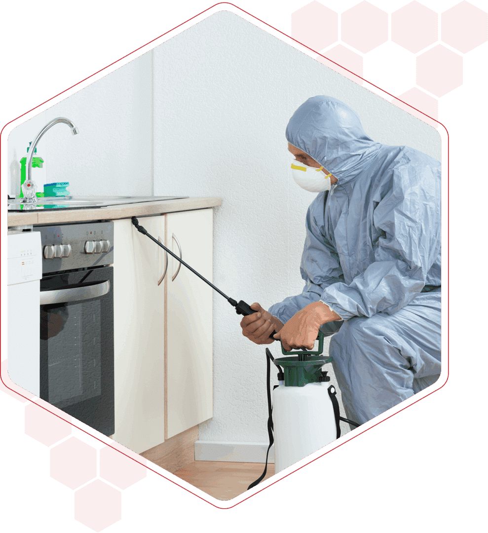 Pest control worker spraying kitchen cabinets.